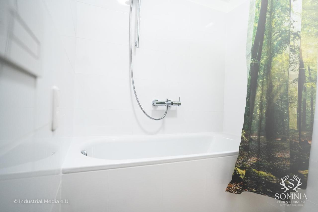 Ferienwohnung Somnia - Altstadt Gmunden Bagian luar foto